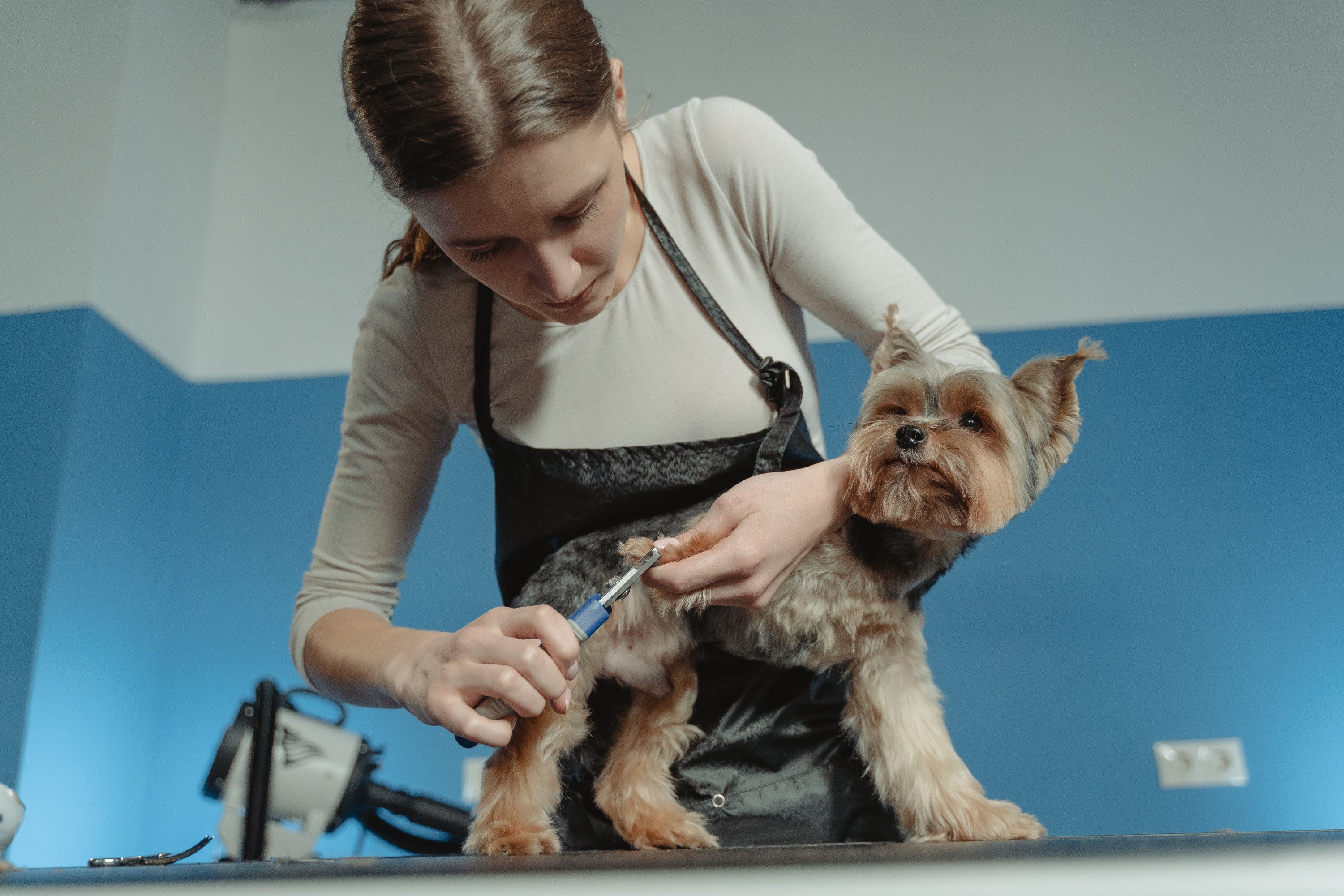 When it Comes To Smell…Your Business Is Goldilocks