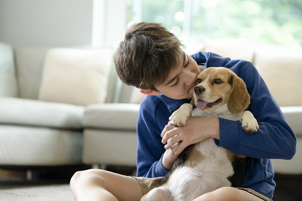 How To Get Rid of Dog Pee Smell