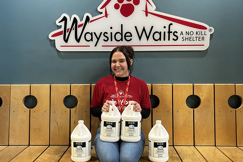 A volunteer with the Odorcide donation at Wayside Waifs Animal Shelter