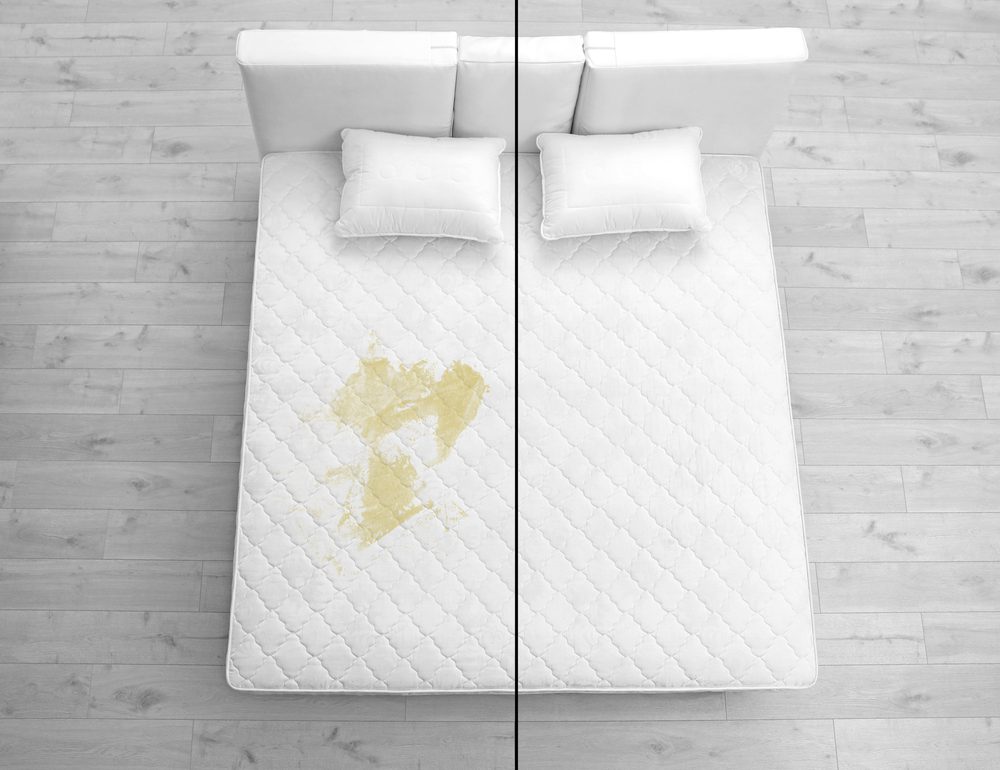 how to get pee smell out of mattress