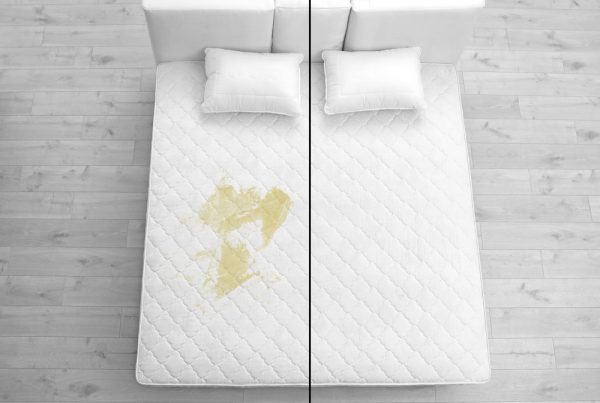 how to get pee smell out of mattress