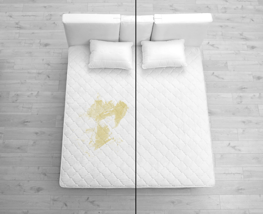 How To Get Pee Smell Out of Mattress